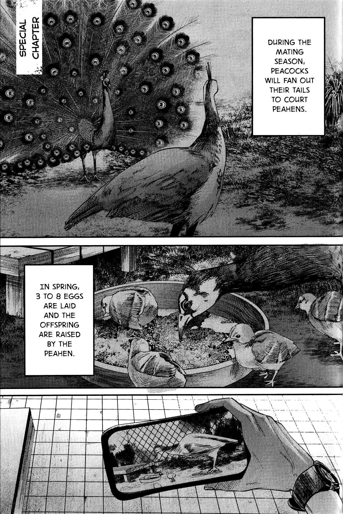 The Summer Hikaru Died Manga Chapter 11.7 page 1 - Volume 2: Special 2